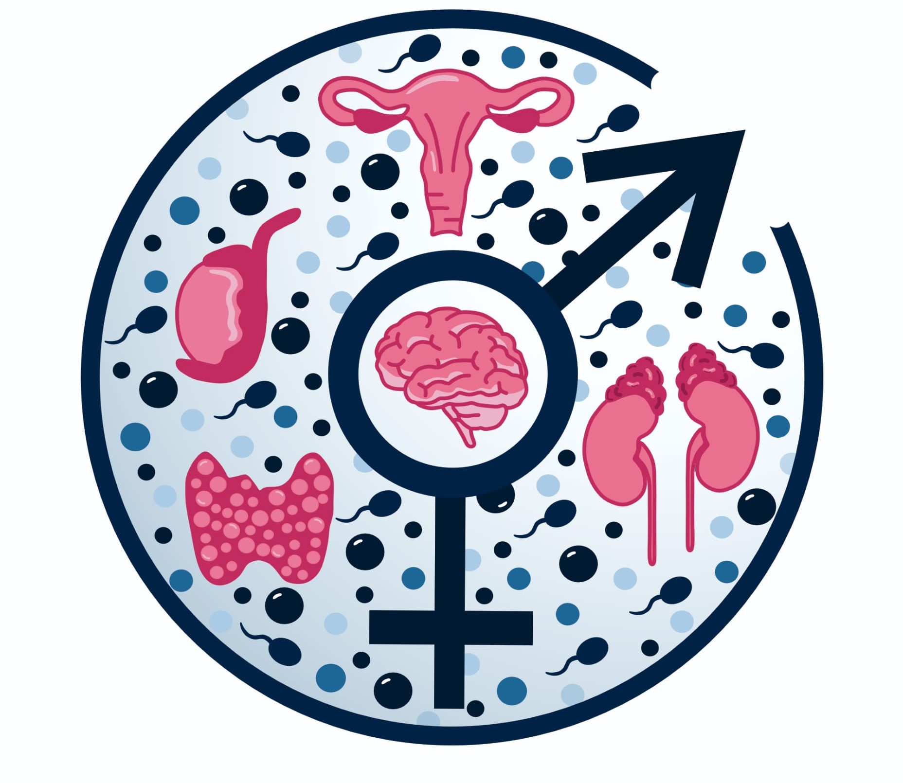 Logo Zakładu Endokrynologii
